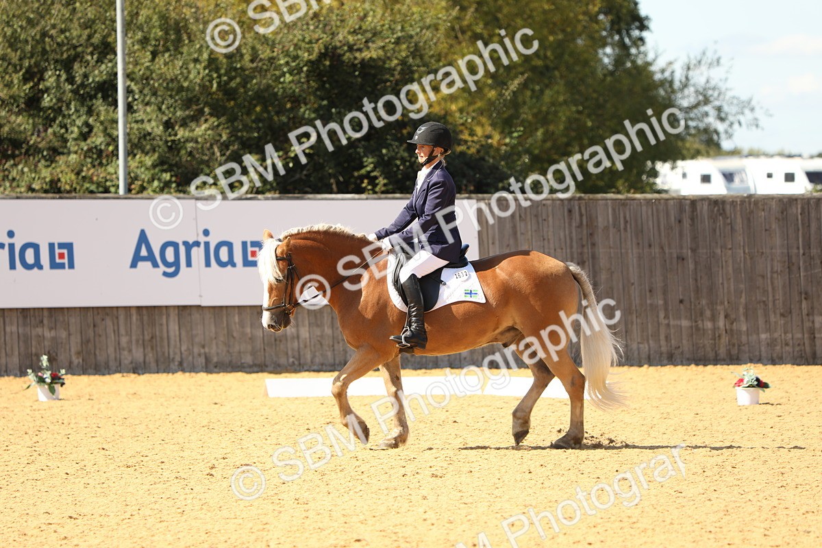 SBM_22378 - D17 - Grand Tour Championship - Novice 27