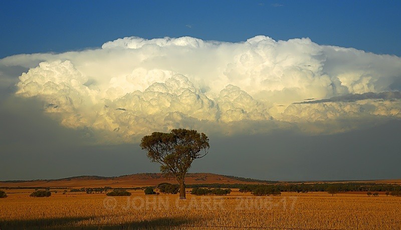 Tree & Cloud - THE STARS AND STORMY WEATHER PHOTOS