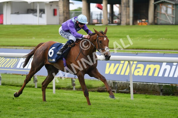 yr22052021r2-21 - Race 2 2.40pm William Hill Brontë Cup