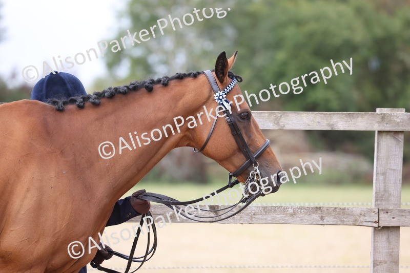 20260831-1884 - Class 5 - Retraining of Racehorses