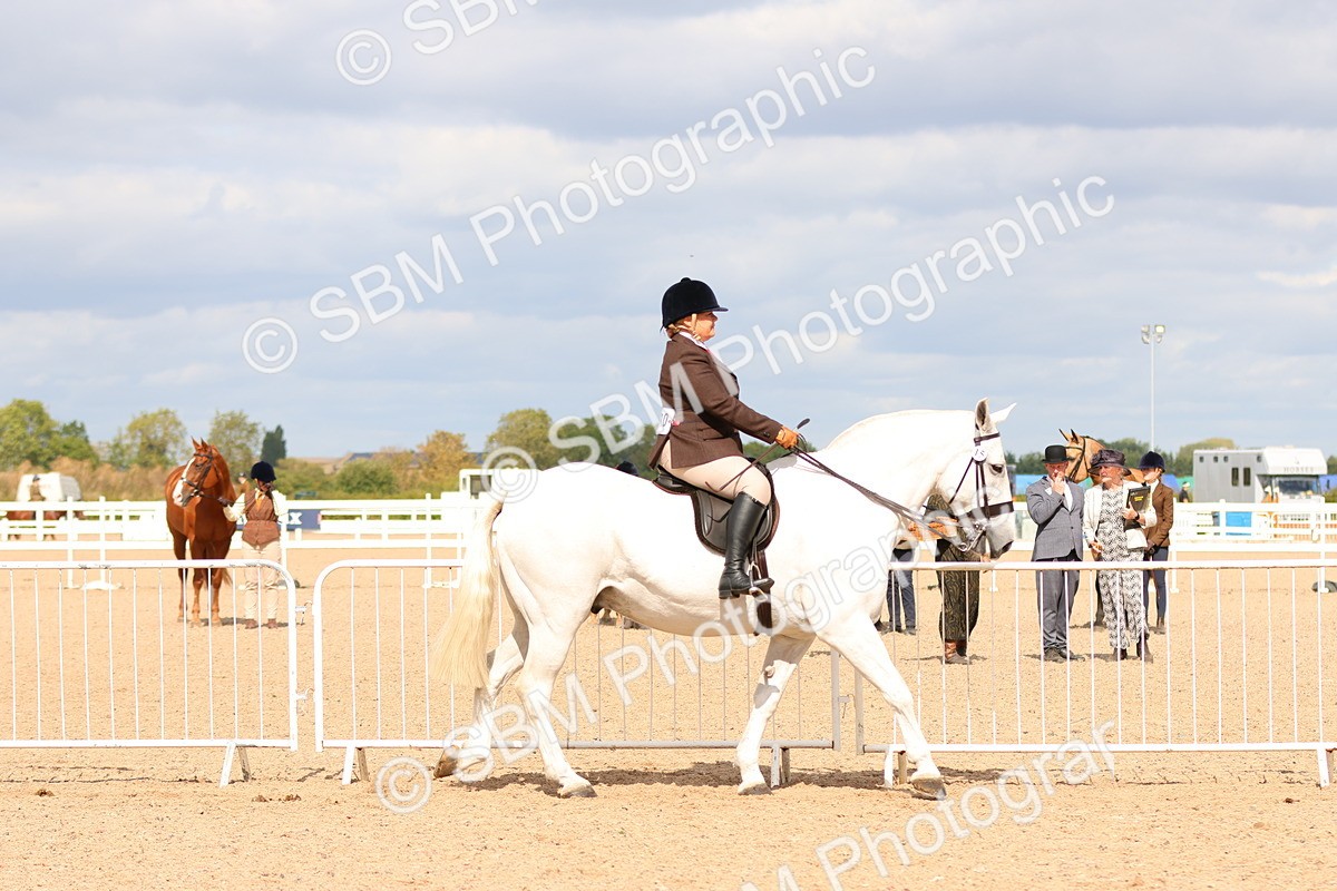 SBM_15455 - Class 214 - Ridden Show Cob