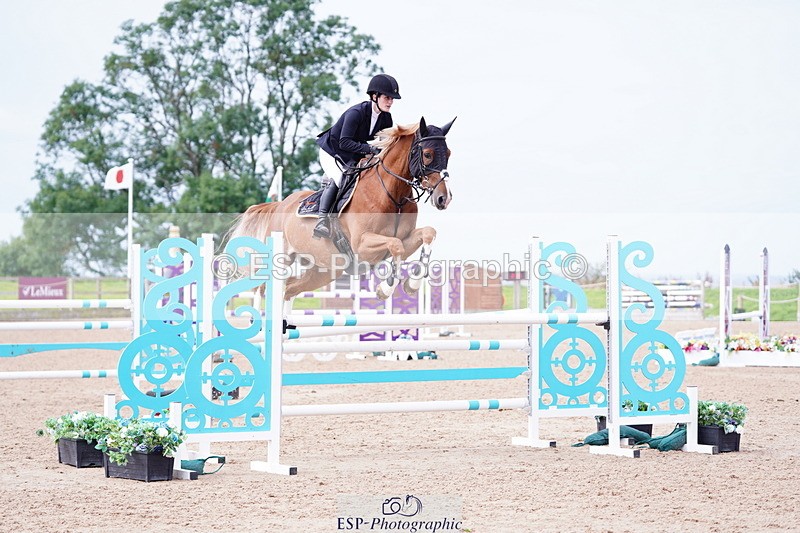 240803A-110210-07339 - Cls 29 Snr Foxhunter