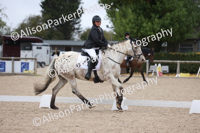 20250820-0292 - Class 9 - My Quest Prelim 3