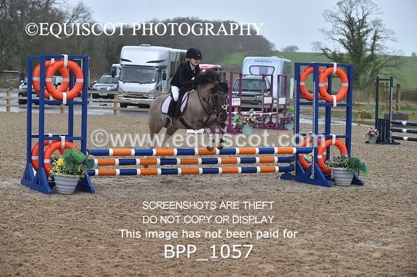 BPP_1057 - CLASS 1 Club/ Unaffiliated 60cms Open