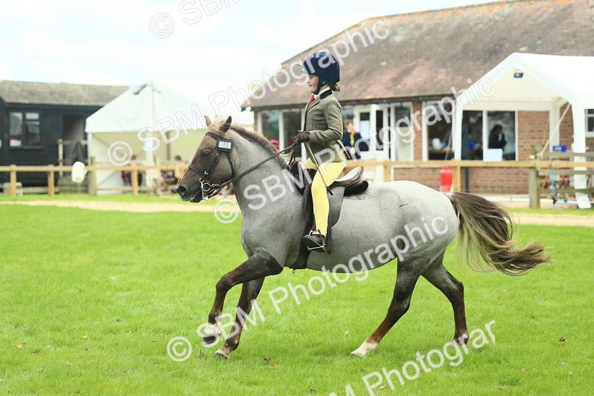 SBM_42784 - S30 - M&M Working hunter Pony