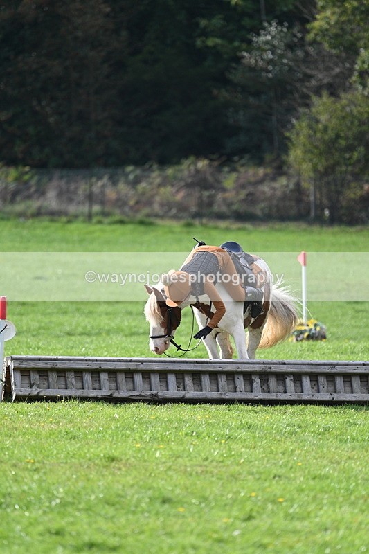 WJ7_3967 - 40cm Time 10:26 to 10:42