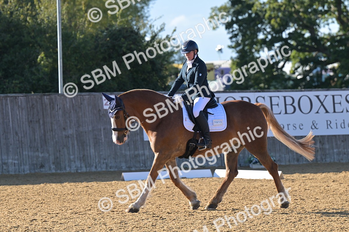 SBM_13000 - D3 - Small Tour Championship Intro 3