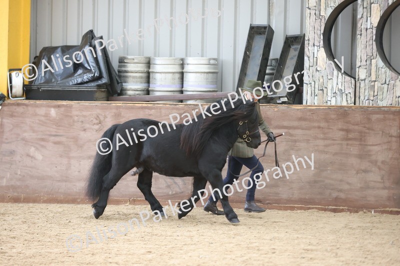 20251109-1227 - Supreme Championship