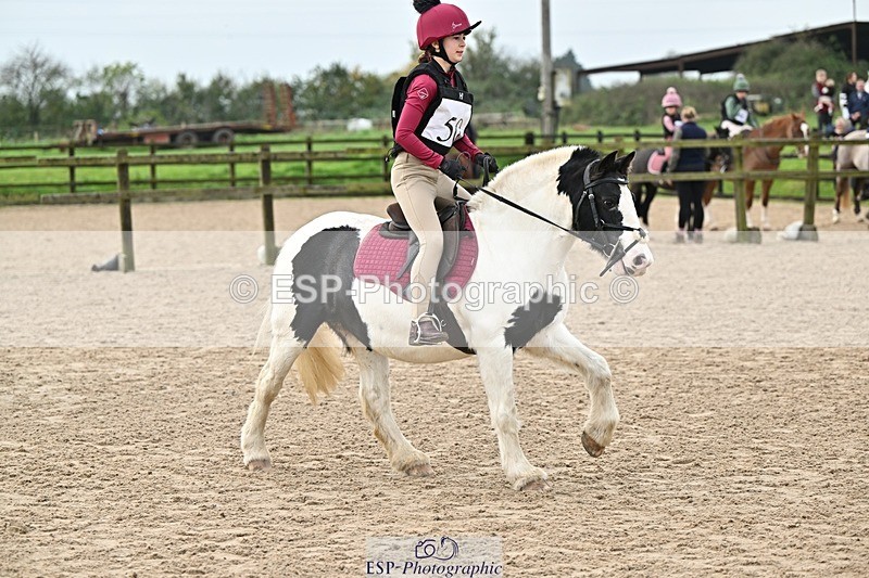 241110-115021-00536 - 50-55cm Arena Eventing
