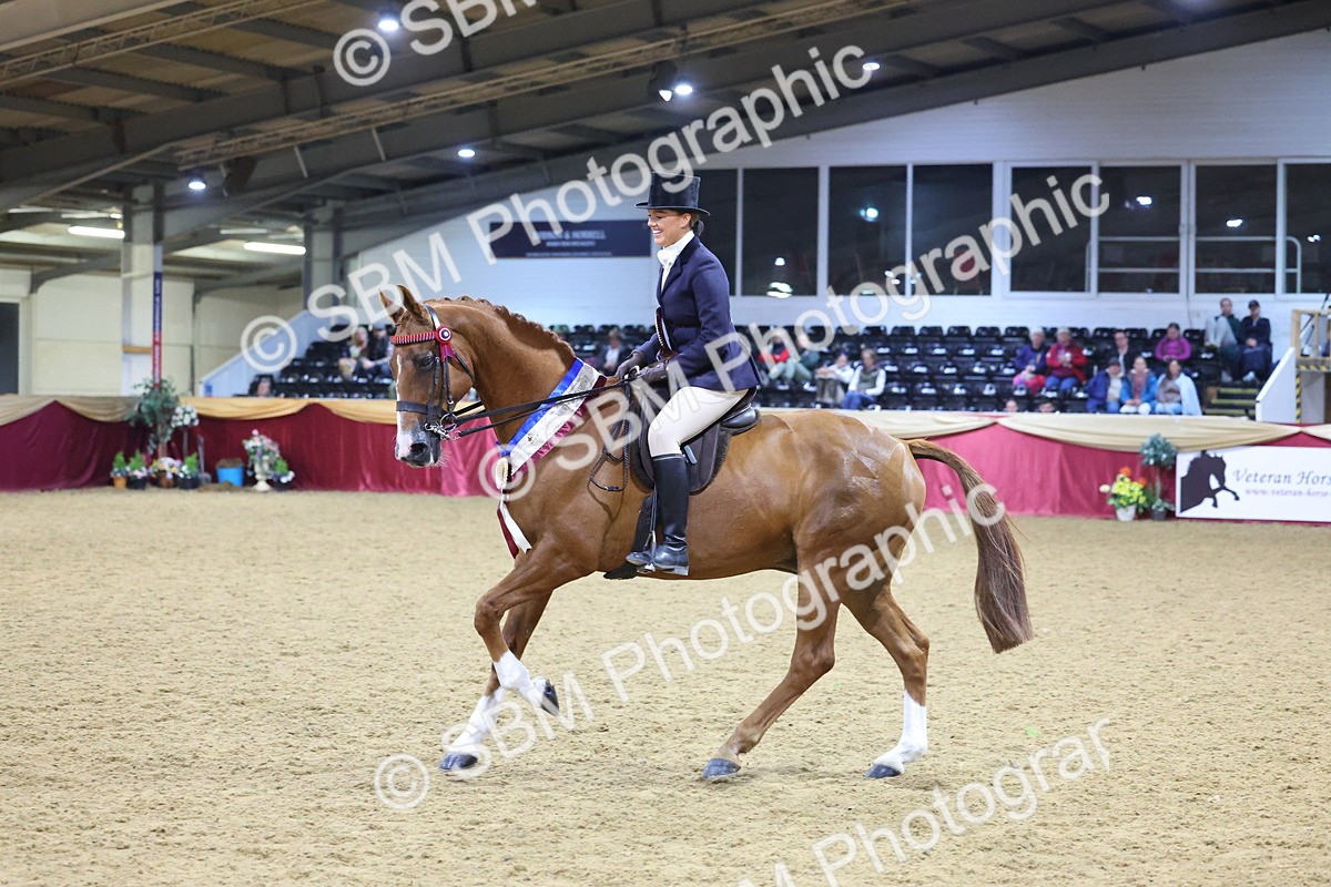 0B8A4502 - Class O Ridden Show Horse Champ