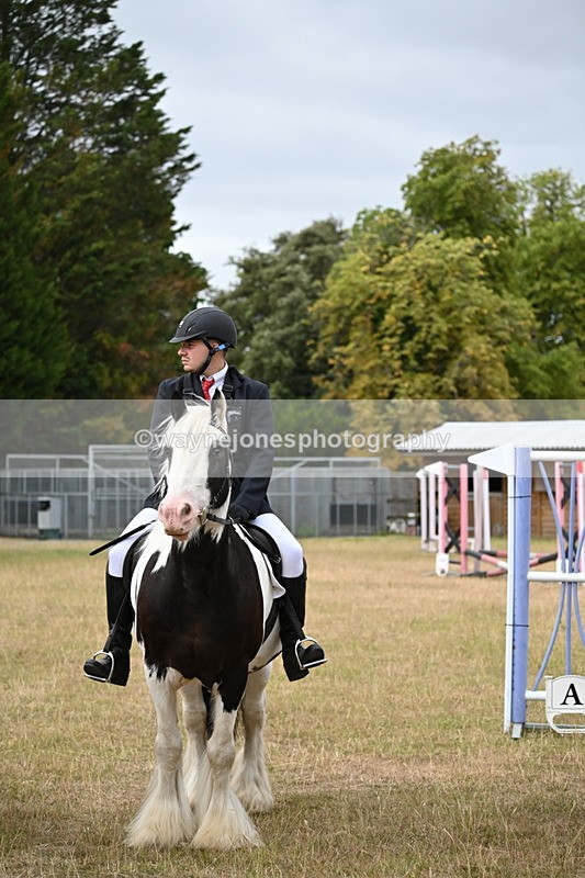 WJ6_7658 - Class 9 Tack and Turnout