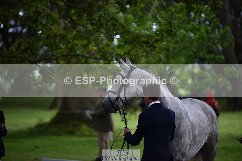 240522-150734-00103 - 369-STARMAN_III-Matthew_Hecking