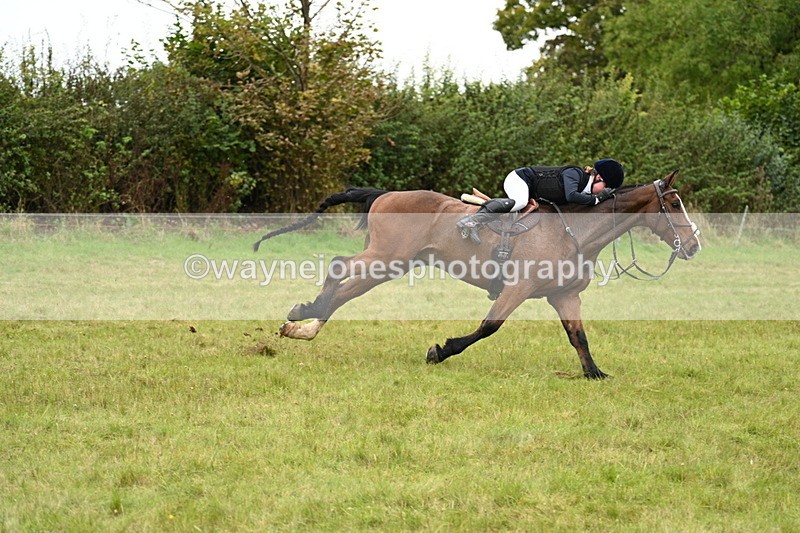 WJ7_4177 - Camera 1 Line 2