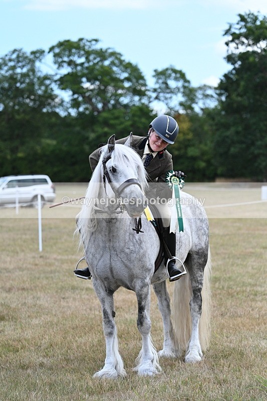 WJ7_5720 - Class 12 Ridden Cob
