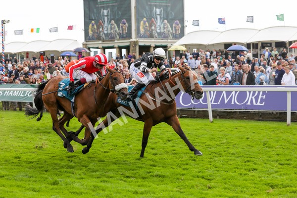 250823-Race 5-Reach-5914 - Race 5 4.10pm Assured Data Protection EBF Fillies' Handicap
