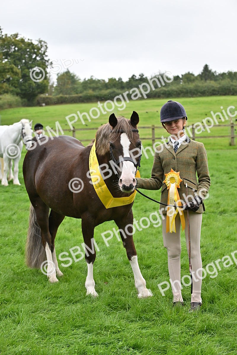 SBM_68615 - S42 - Junior Handler 9-12 Years