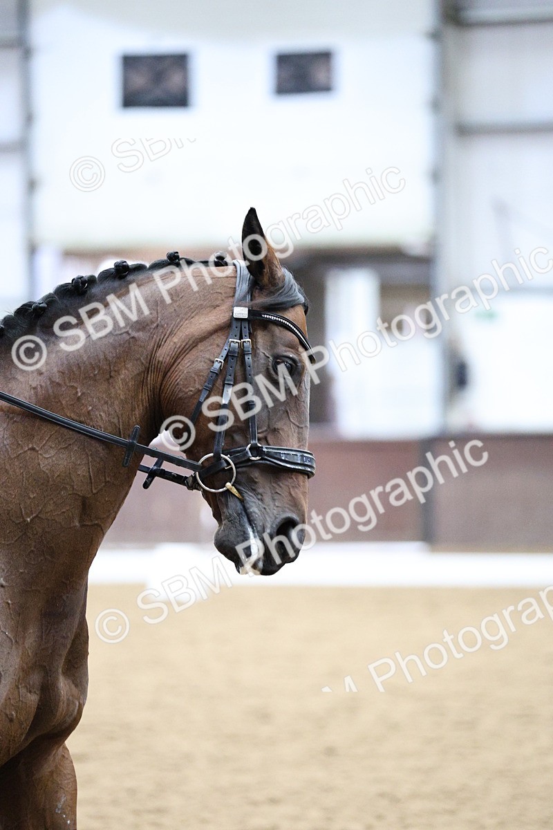 SBM_001619 - Class 7 - Elementary 5