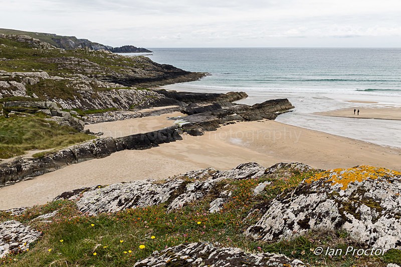 Rugged Coastline adjoining Barley Cove Beach, Mizen Head Peninsu - Ireland