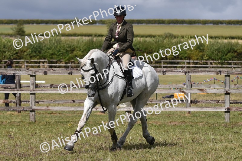 20250831-4121 - Class 13 - Working Hunter Horse or Pony