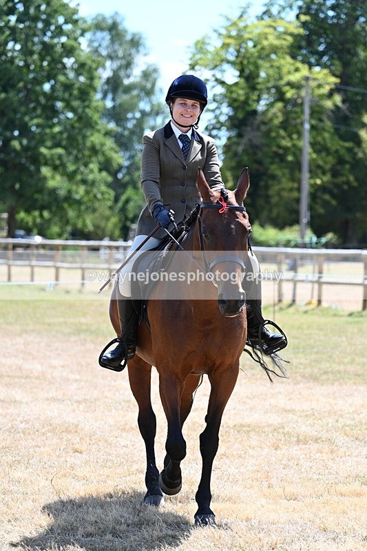 WJ7_2837 - Class 7 Riding Club Show Horse
