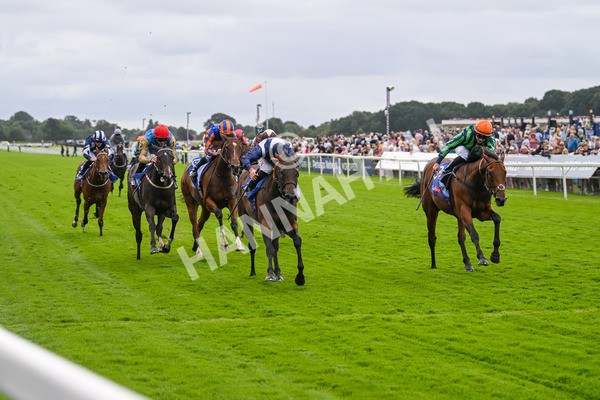 220824-Race 1-Celandine-6590 - Race 1 1.50pm Sky Bet Lowther Stakes