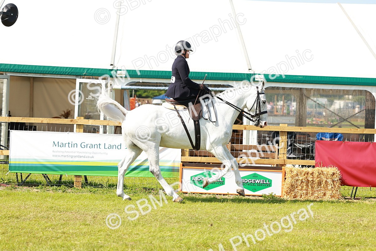 SBM_13132 - Class 70-71 - Side Saddle