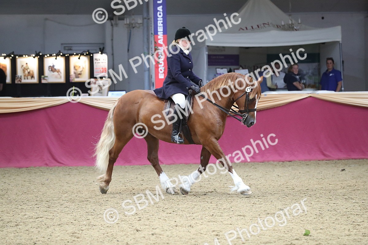 SBM_16461 - Class 502 M&M Ridden Supreme Final