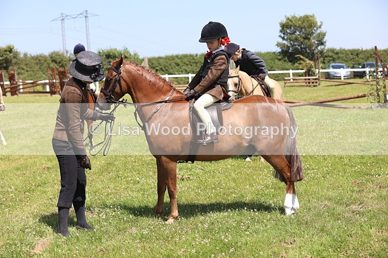 JPP_2287 - Class 20: Tiny Tots Working Hunter Pony