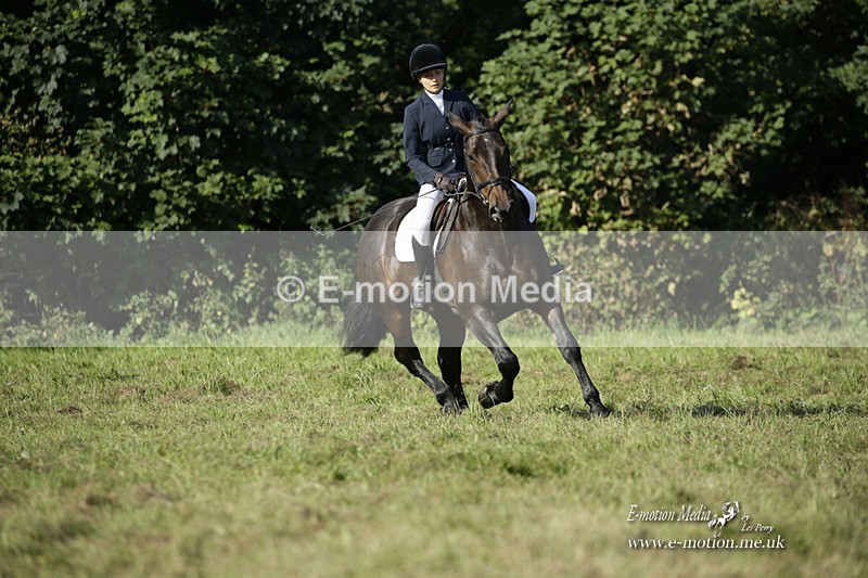 BVRC 120921 143 - Bourne Valley Riding Club UA Dressage & Show Jumping 12/09/21