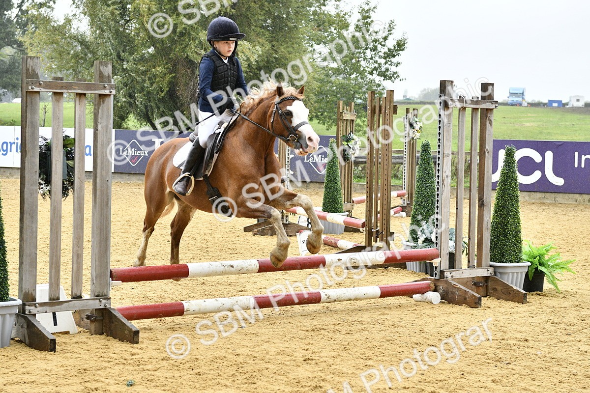 SBM_70927 - J3 - Mini Tour Junior Pony 40cm championship