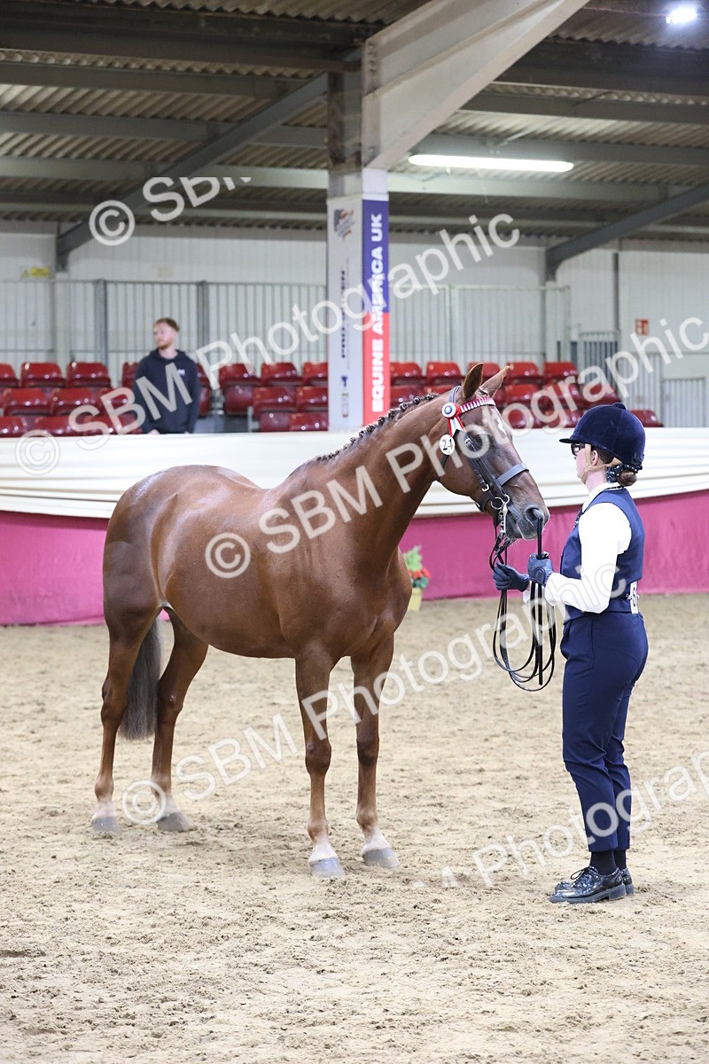 SBM_20161 - Class C - Novalty Champ