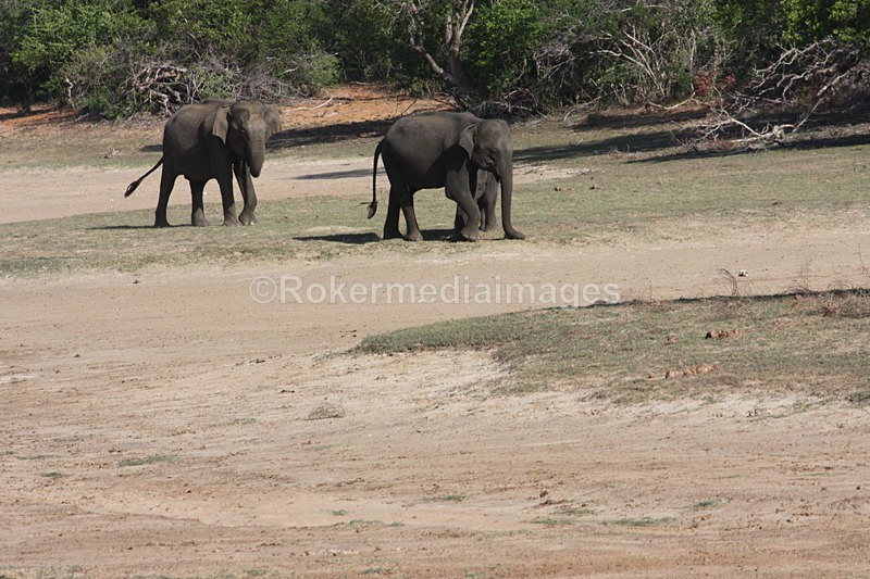  - Travel and culture