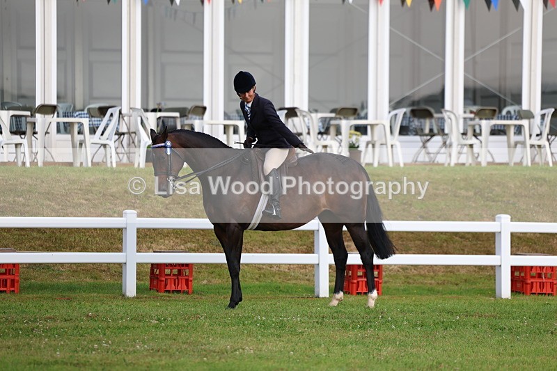 3E7A7783 - Class 1: Rising Star Small Hack/Riding Horses