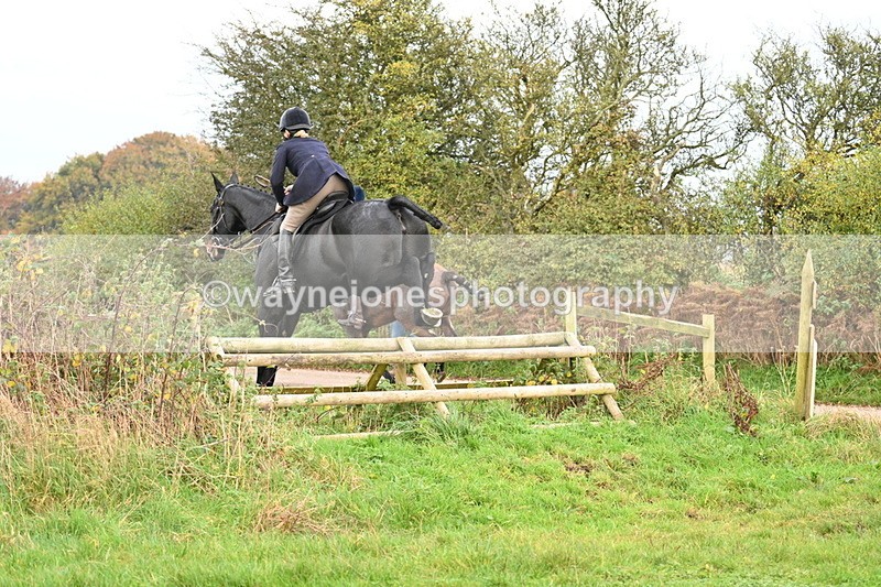 WJ7_0318 - Camera 1 & Last fence