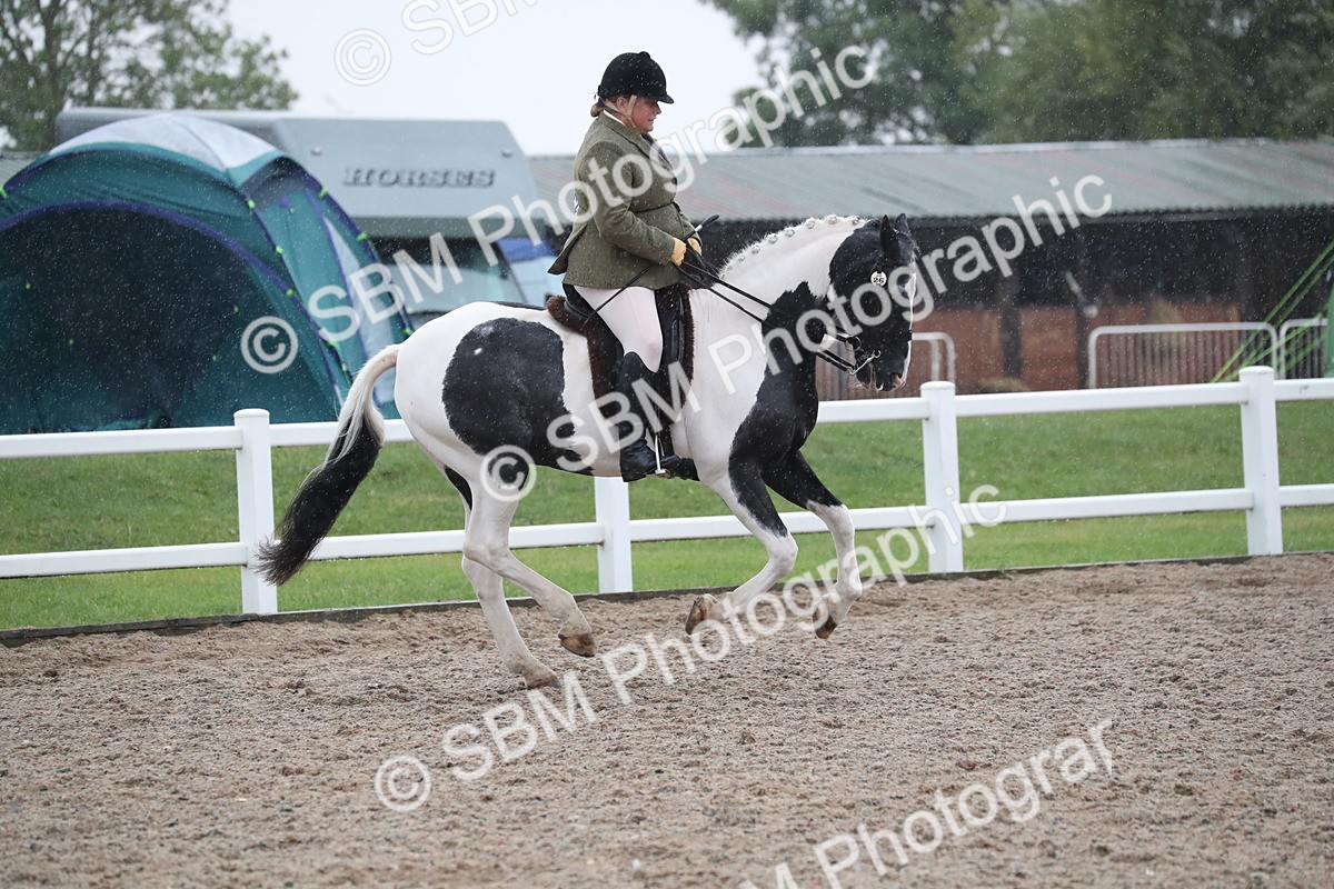 SBM_20436 - Class 601 - 2025 Area - Ridden Diamond