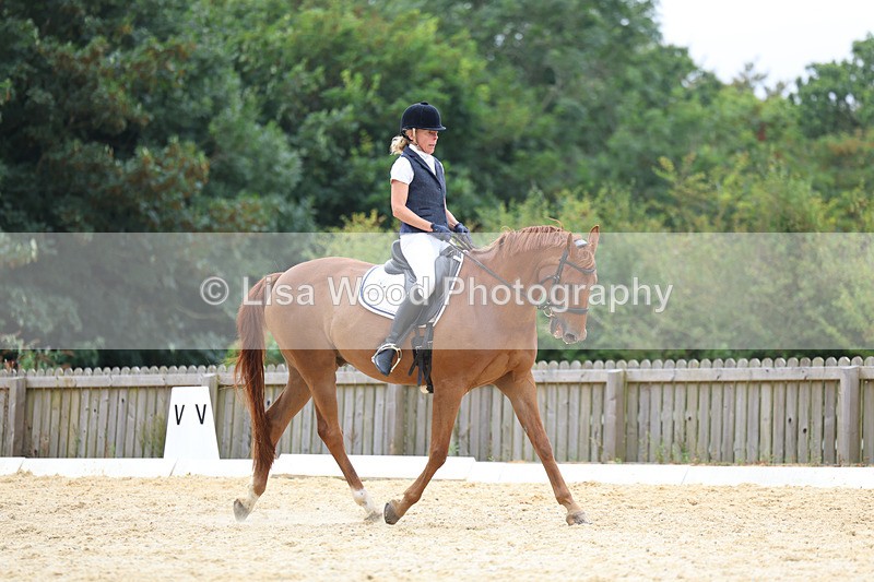 3E7A7228 - Class 9: Elementary 4 2024 - No sections