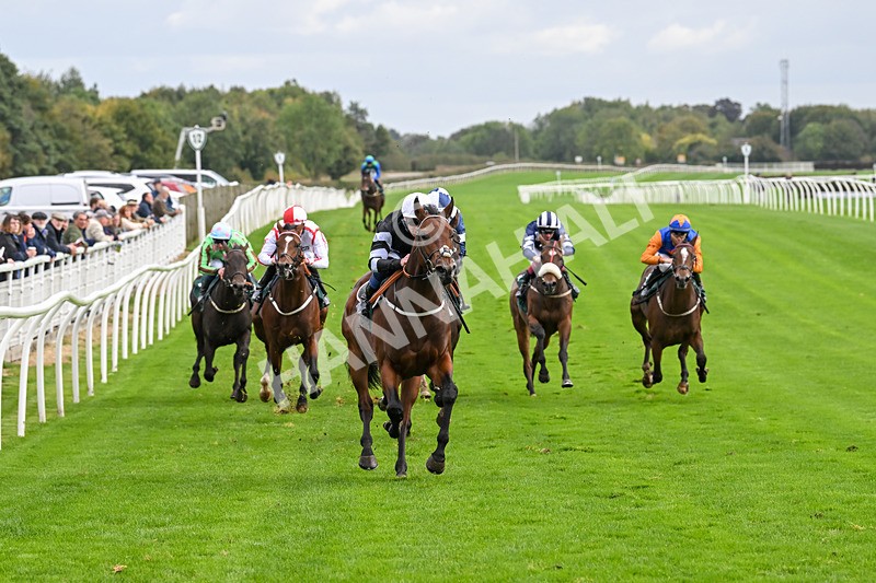 021024-Race 3-Kirkdale-9309 - Race 3