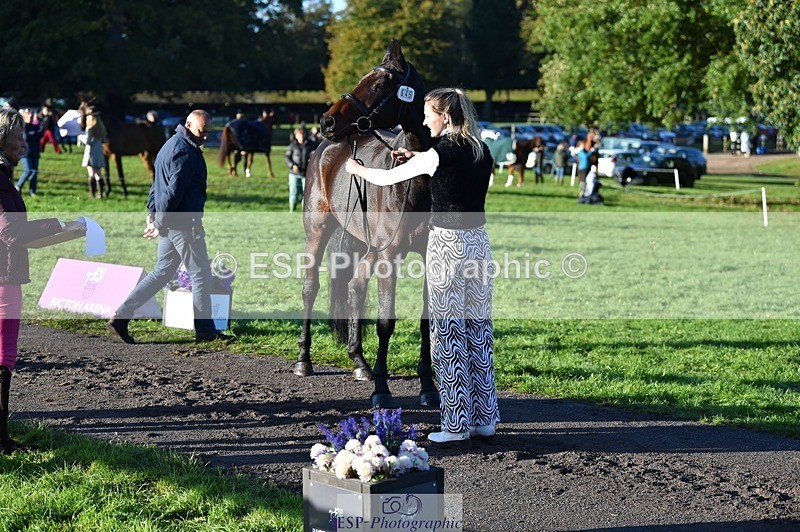 231022-092242-21742 - 645-COOLEY.CORPELLO-Francesca.Swallow-TrotUp+SJ