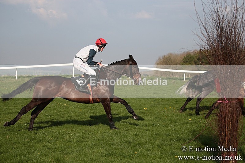 PtP 210418 625 - South & West Wilts Point-to-Point Larkhill 21/04/18