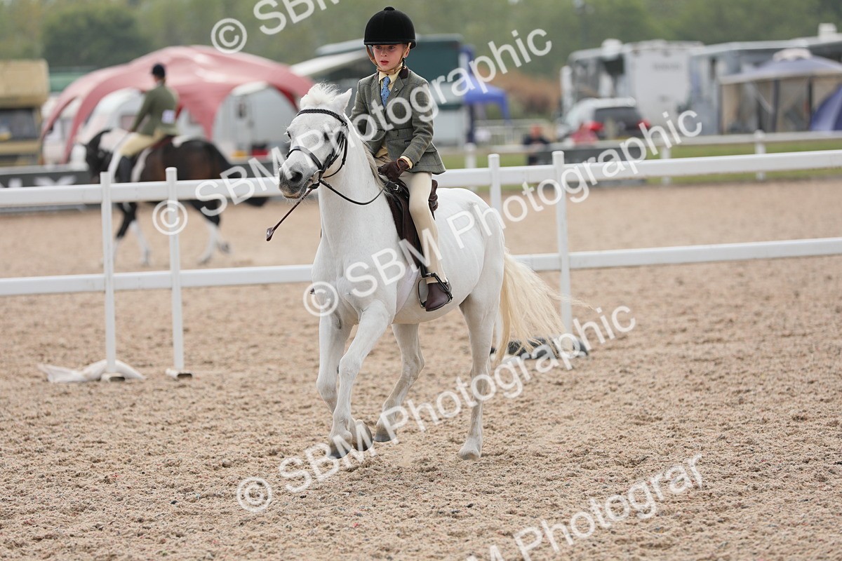 SBM_16931 - Class 314 Family Horse/Pony