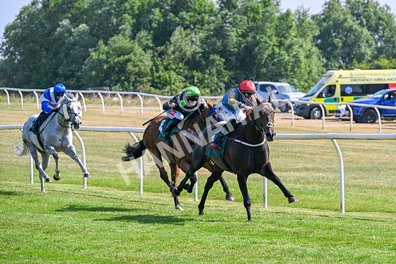 150726-Race 5-Naval Light-3529 - Race 5 16.10pm Try Racing TV For Free Now Handicap