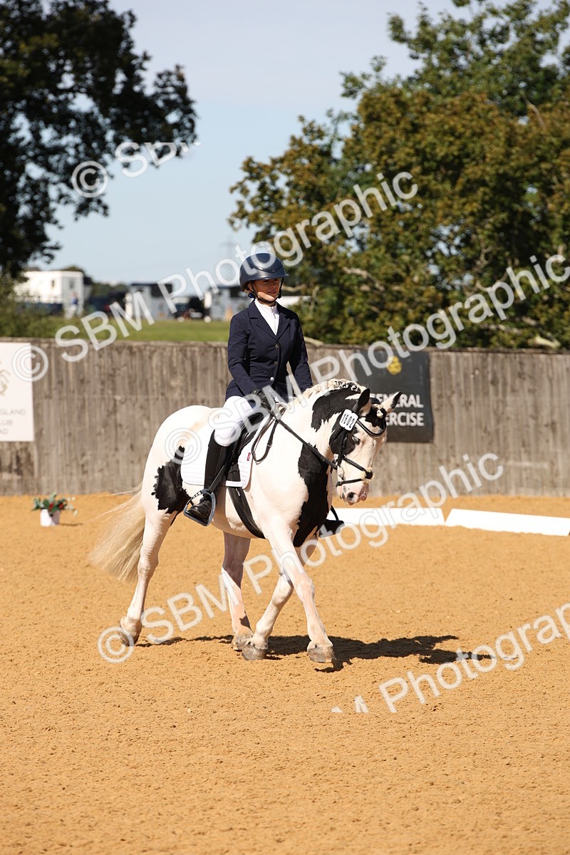 SBM_21640 - D5 - Small Tour Championship - Intro C