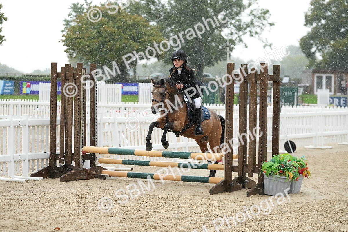 SBM_33501 - J5 - Junior Pony 50cm Championship