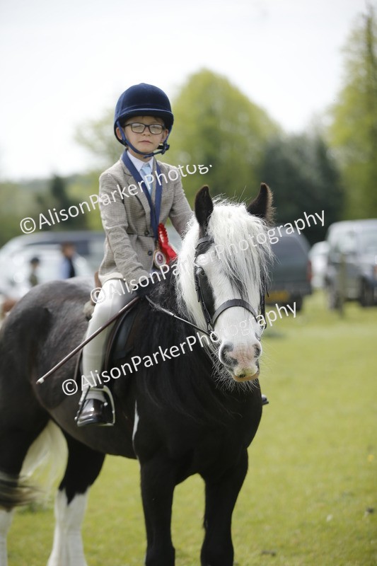 20260426-2151 - Class 9 - Handsomest Gelding