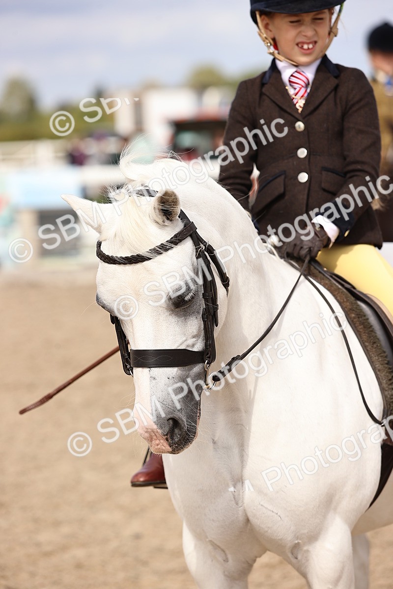 SBM_15967 - Class 416 - Prettiest Mare (IH or Ridden) Jnr