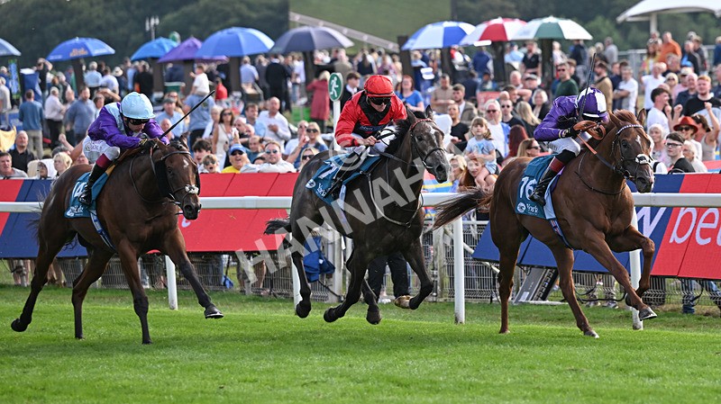 190826-253 Henley On Thames - Race 7 17.20pm Sky Bet Nursery Handicap
