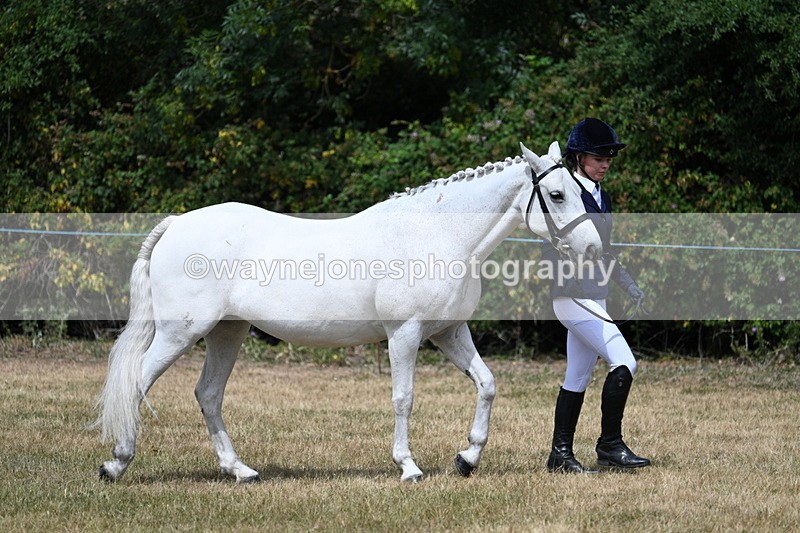 WJ7_1629 - Class 4 Prettiest Mare up to 14.2hh in hand