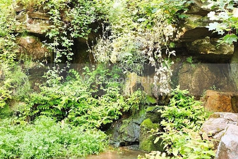 Fairy Glen - Liverpool