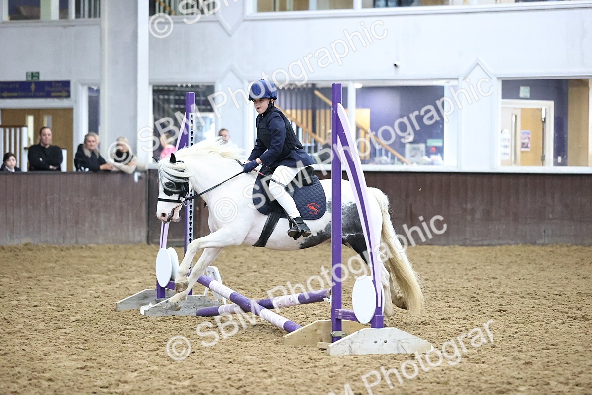 SBM_000059 - Class 1 - Fox Farriers 30cm