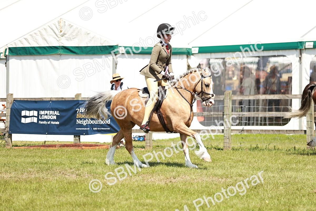 SBM_15756 - Class 108-109 - BSPS LIHS Open Gradle & Nursery Stakes
